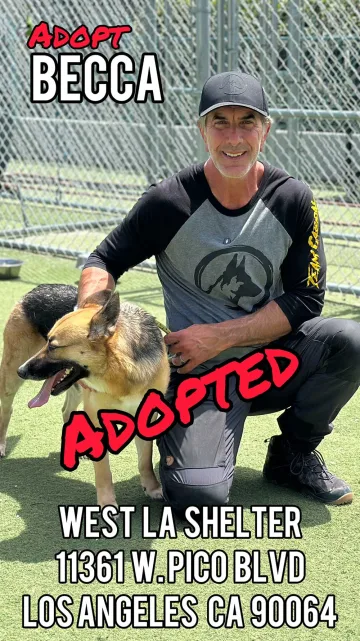 Becca, adopted from the West LA Shelter
