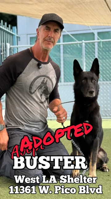 Buster, adopted from the West LA Shelter