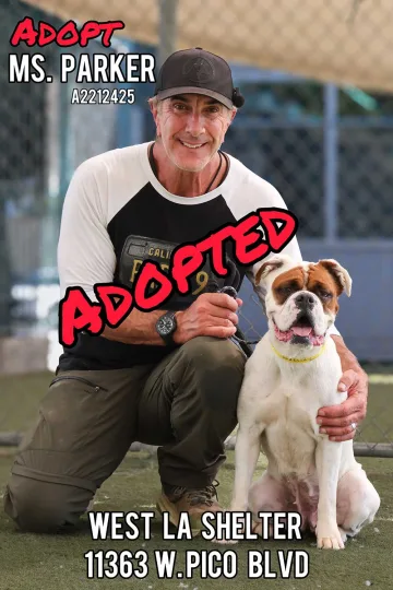 Ms. Parker, adopted from the West LA Shelter