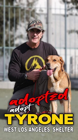 Tyrone, adopted from the West LA Shelter