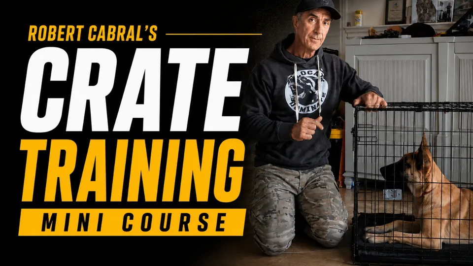 Crate Training Mini Course