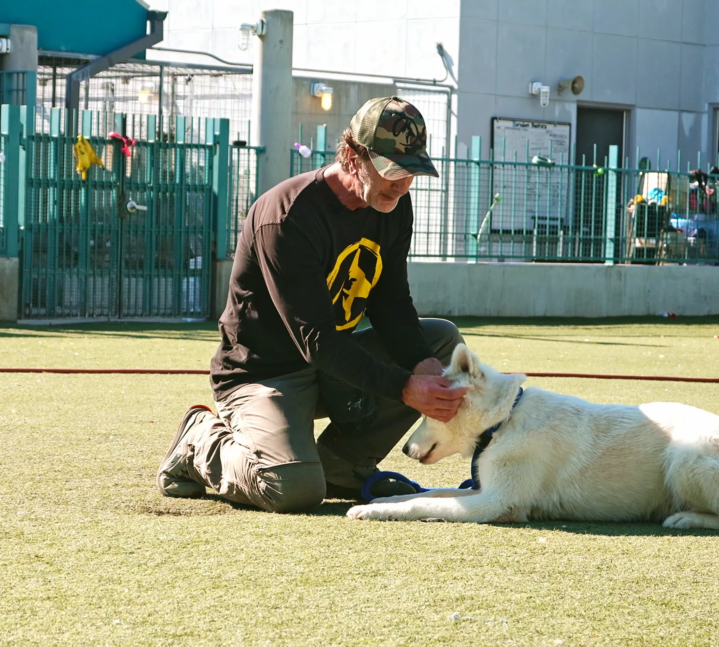 Robert Cabral working with a shelter dog