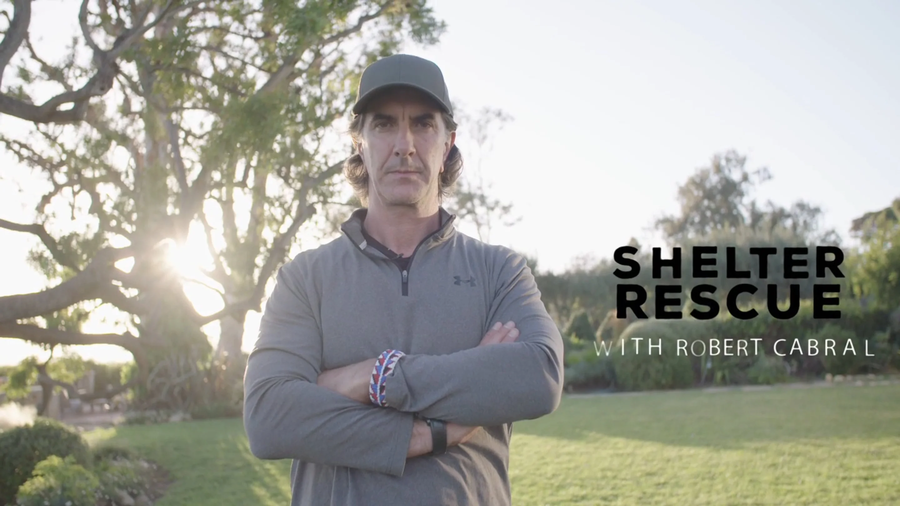 Shelter Rescue with Robert Cabral