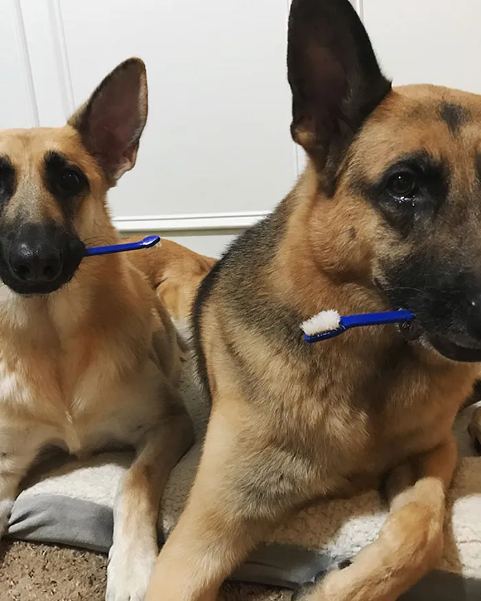Emma and Max